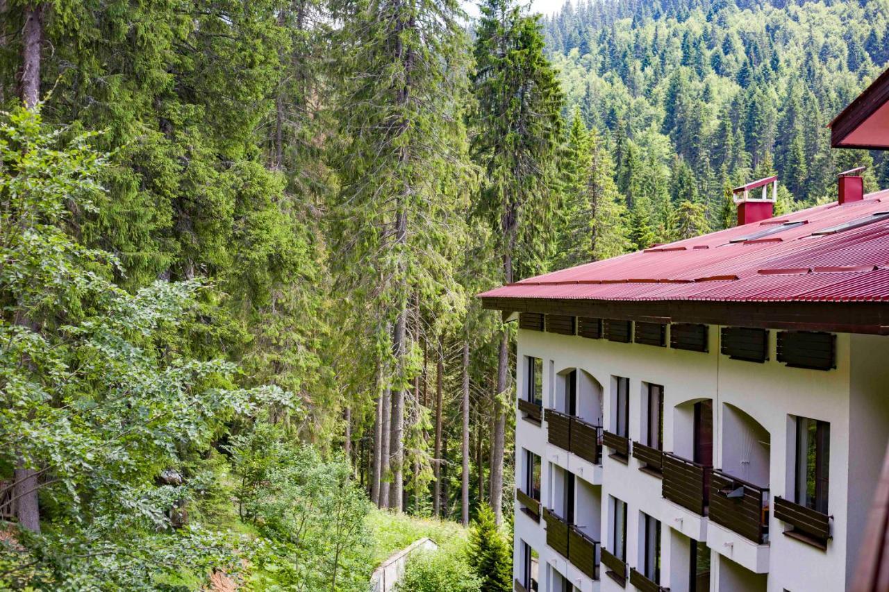 Forest Dream Apartment - Elit بامبوروفو المظهر الخارجي الصورة