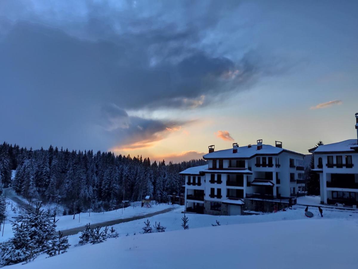 Forest Dream Apartment - Elit بامبوروفو المظهر الخارجي الصورة