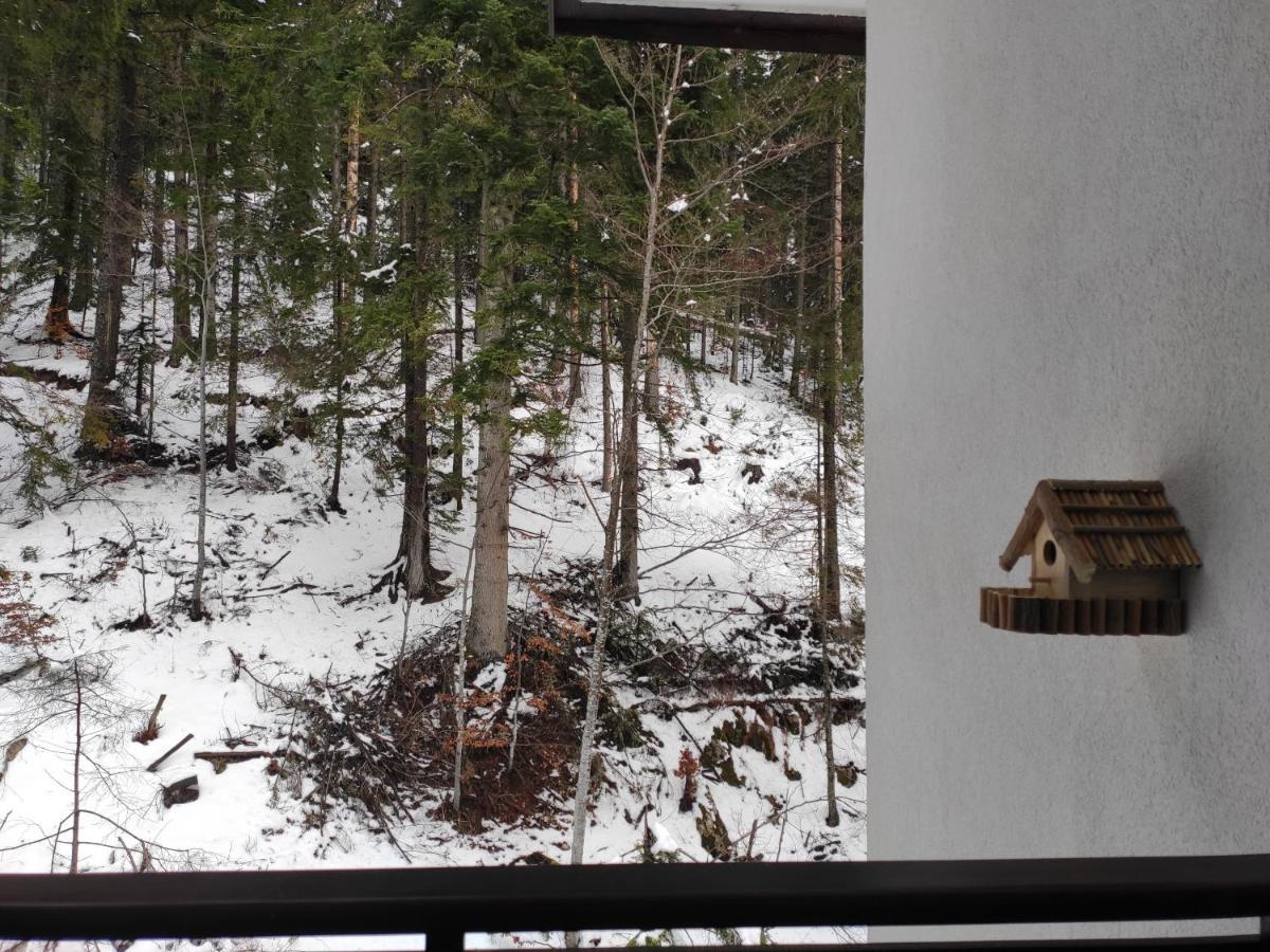 Forest Dream Apartment - Elit بامبوروفو المظهر الخارجي الصورة